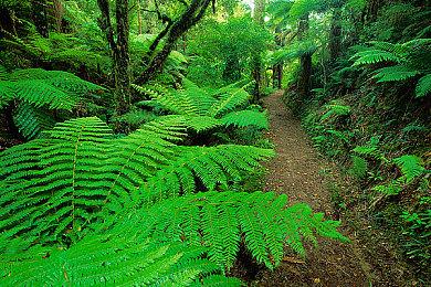 《使命召唤：黑色行动7》国区348元 B测10月3日开启